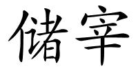 储宰的解释