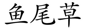 鱼尾草的解释