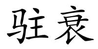 驻衰的解释