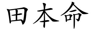 田本命的解释