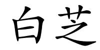 白芝的解释