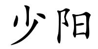 少阳的解释