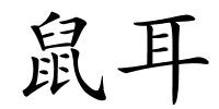 鼠耳的解释