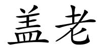 盖老的解释