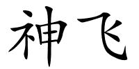 神飞的解释