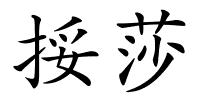 挼莎的解释