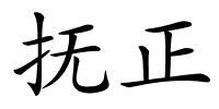抚正的解释