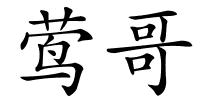 莺哥的解释