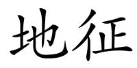 地征的解释