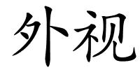 外视的解释