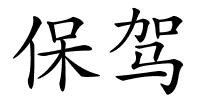 保驾的解释