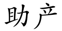 助产的解释