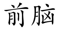 前脑的解释