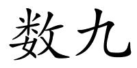 数九的解释