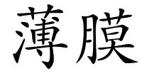 薄膜的解释