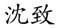 沈致的解释