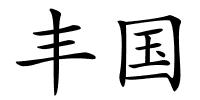 丰国的解释