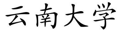 云南大学的解释