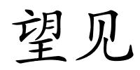 望见的解释