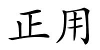 正用的解释