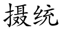摄统的解释