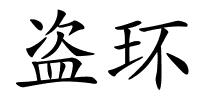 盗环的解释