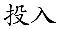 投入的解释
