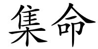集命的解释