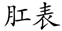 肛表的解释