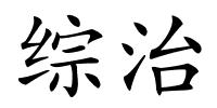 综治的解释