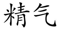 精气的解释