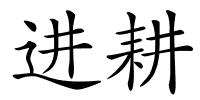 进耕的解释