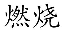 燃烧的解释