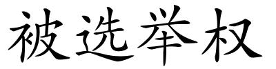 被选举权的解释