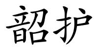 韶护的解释