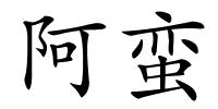 阿蛮的解释
