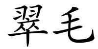 翠毛的解释