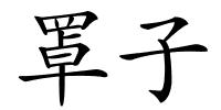 罩子的解释