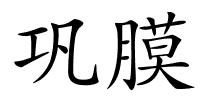 巩膜的解释