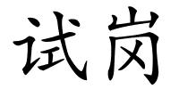 试岗的解释