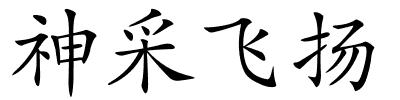 神采飞扬的解释