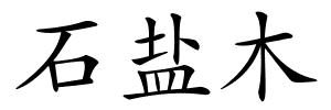 石盐木的解释