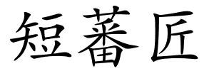 短蕃匠的解释