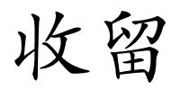 收留的解释