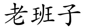 老班子的解释
