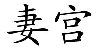妻宫的解释