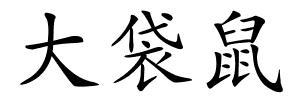 大袋鼠的解释