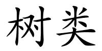 树类的解释