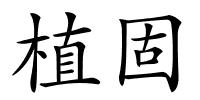 植固的解释