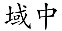 域中的解释